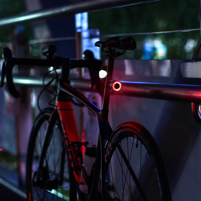 ROCKBROS Smart Brake Bicycle Tail Light