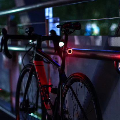 ROCKBROS Smart Brake Bicycle Tail Light