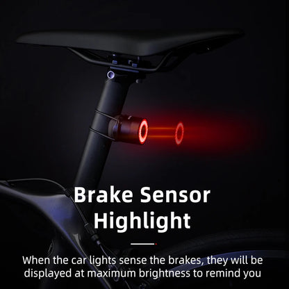 ROCKBROS Smart Brake Bicycle Tail Light