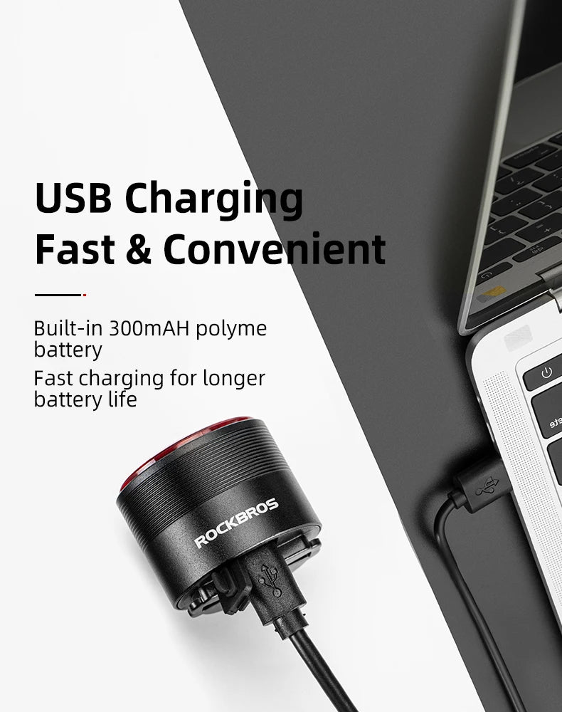 ROCKBROS Smart Brake Bicycle Tail Light