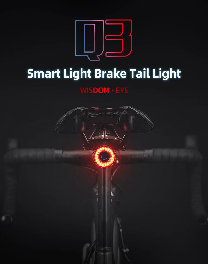 ROCKBROS Smart Brake Bicycle Tail Light