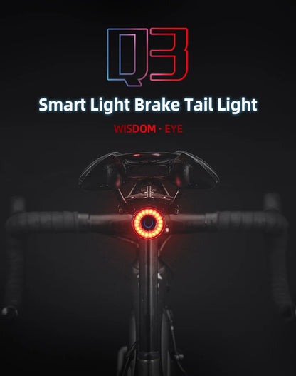 ROCKBROS Smart Brake Bicycle Tail Light
